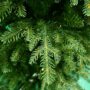 9′ Kensington Fir Tree